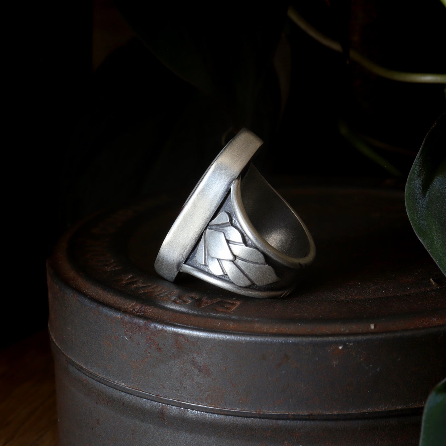 Owyhee Jasper Ring