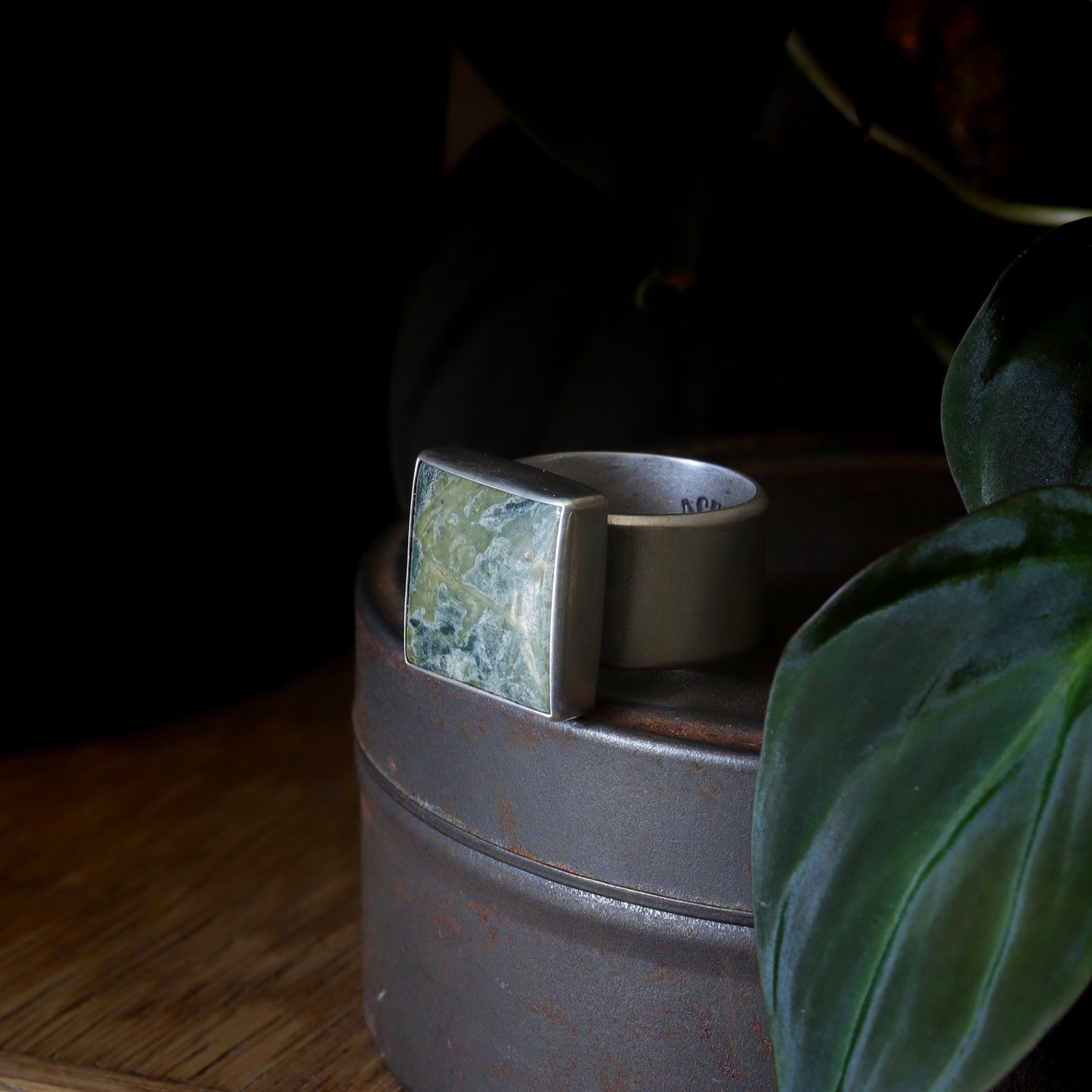 Truckee Jasper Ring